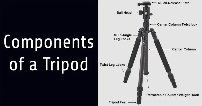 Choosing the Right Tripod