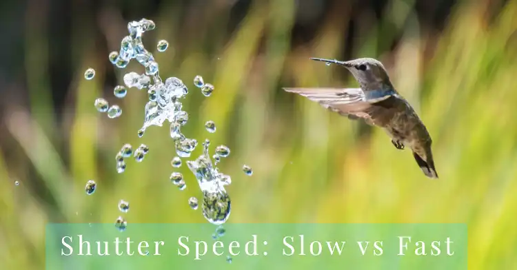 Does Slower Shutter Speed Really Produce Sharper Images