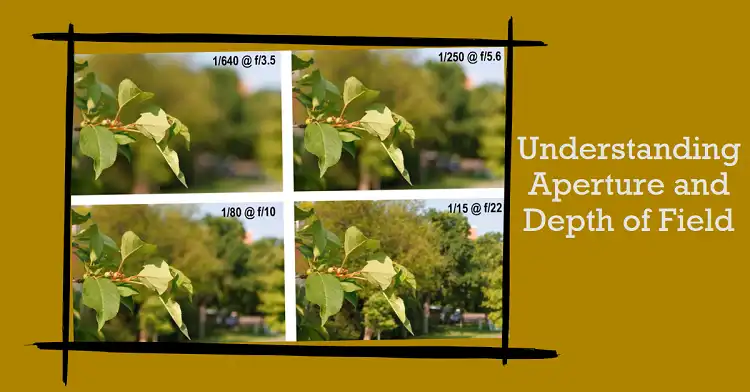 How Does Aperture Affect Depth of Field? - allcamerasolutions