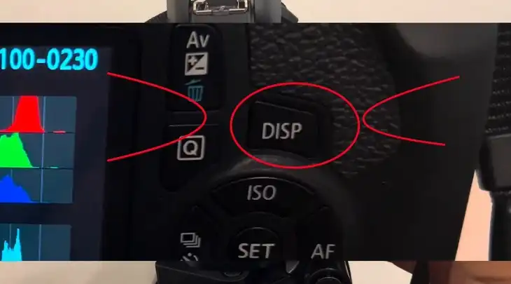 Common Canon Rebel T7 Display Issues