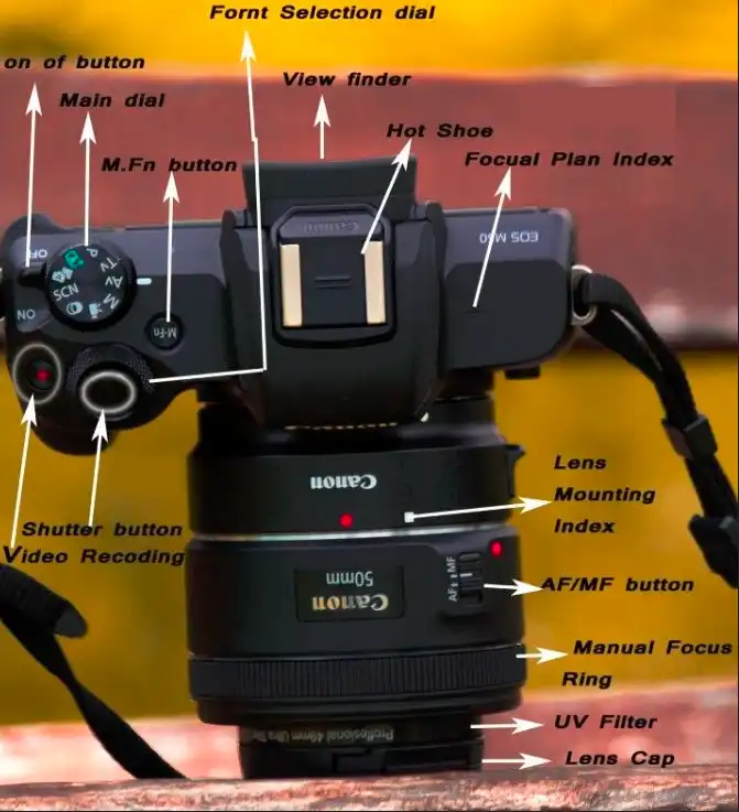 Button Layout and Functions