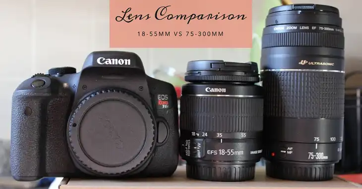 18-55mm Lens vs 75-300mm Lens: An In-Depth Comparison 