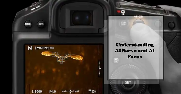 AI Servo vs AI Focus: Difference Between the Two Autofocus Modes