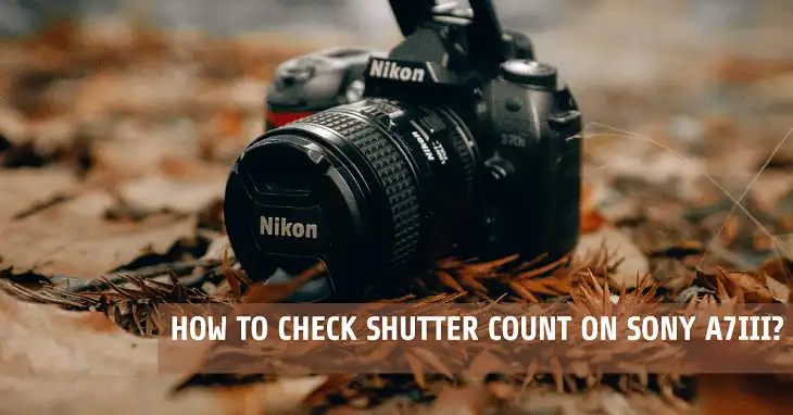 How to Check Shutter Count on Sony A7III?